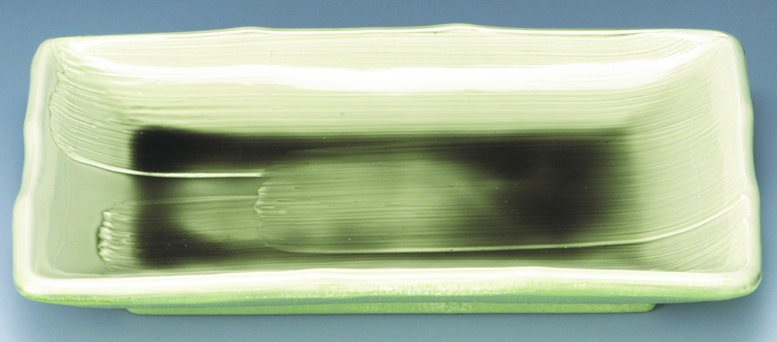 7寸 波渕焼物皿 刷毛目ヒワ青磁